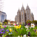 Things to Do with Out of Town Guests in Salt Lake City