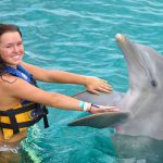 Swimming with dolphins Cancun