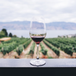 7 Awesome Reasons for Going on a Wine Tour