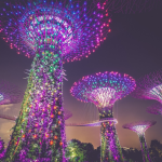 5 Things Everyone Should Do When Visiting Singapore